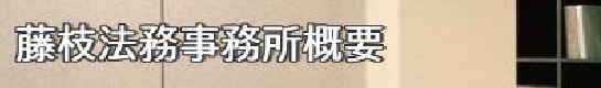 藤枝法務事務所概要